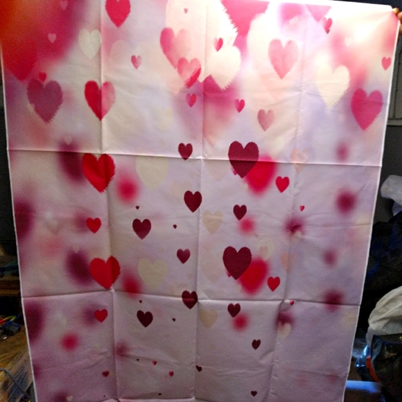 Photo Backdrop - Picture 3 of 3